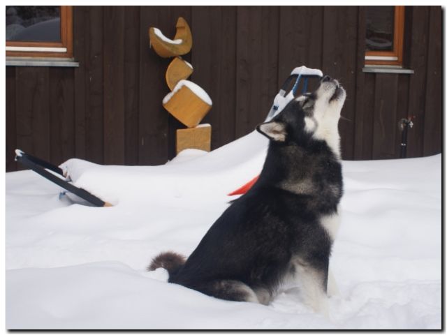 080 Februar 2010 204.jpg